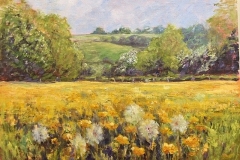 Hay Meadow in early summer  - by Stone Artist- Barbara Bell - Facebook - Barbara Bell Oil Paintings