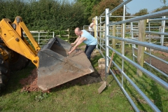 Building the Cattle Handling Facility