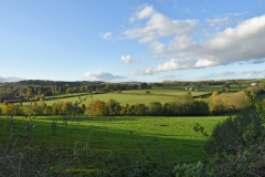 View from The Lower Woodland Path towards Tittensor Chase