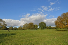 The Common Plot Mount Road Meadow in Autumn